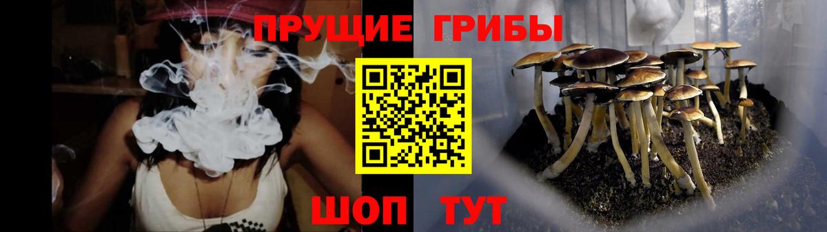 Псилоцибиновые грибы Psilocybe  Псилоцибиновые грибы GOLDEN TEACHER  Бахчисарай  Вход с VPN 